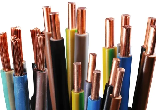 1 500x500 1 E1728018480687